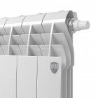 Радиатор Royal Thermo BiLiner 500 /Bianco Traffico VR - 12 секц. Превью - Изображение 98097