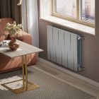 Радиатор Royal Thermo PianoForte 500 Silver Satin - 10 секц. Превью - Изображение 98739