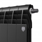 Радиатор Royal Thermo BiLiner 350 /Noir Sable VDR - 10 секц. Превью - Изображение 99765