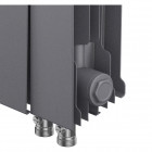 Радиатор Royal Thermo PianoForte 500 /Silver Satin - 6 секц. VDR Превью - Изображение 99999