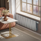 Радиатор Royal Thermo PianoForte 300 /Silver Satin - 16 секц. VDR Превью - Изображение 100119