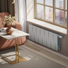 Радиатор Royal Thermo PianoForte 300 /Silver Satin - 14 секц. VDR Превью - Изображение 100155