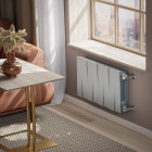 Радиатор Royal Thermo PianoForte 300 /Silver Satin - 8 секц. Превью - Изображение 100281