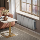 Радиатор Royal Thermo PianoForte 300 /Silver Satin - 14 секц. Превью - Изображение 100323