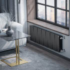 Радиатор Royal Thermo PianoForte 300 /Noir Sable - 14 секц. Превью - Изображение 100479