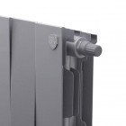 Радиатор Royal Thermo PianoForte 200 /Silver Satin - 14 секц. VDR Превью - Изображение 101271