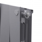 Радиатор Royal Thermo PianoForte 200 /Silver Satin - 8 секц. Превью - Изображение 101511