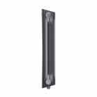 Радиатор Royal Thermo PianoForte 500 Silver Satin VDR80 - 6 секц. Превью - Изображение 103413