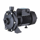 Насос PUMPMAN поверх. самовсас. TCP170 (чугун, 1100Вт, Hmax-38м, Qmax-100л/мин, всас 8м) Превью - Изображение 67125